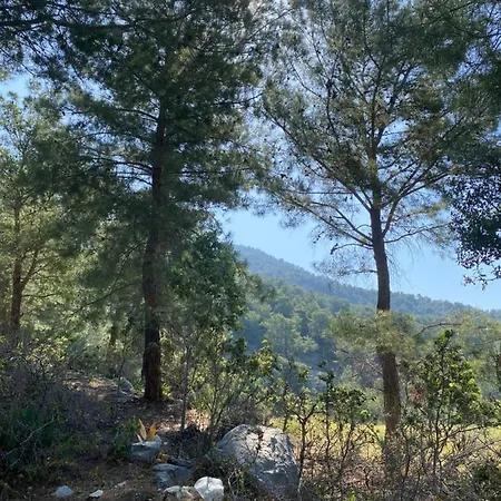 Daire Beyza Fethiye